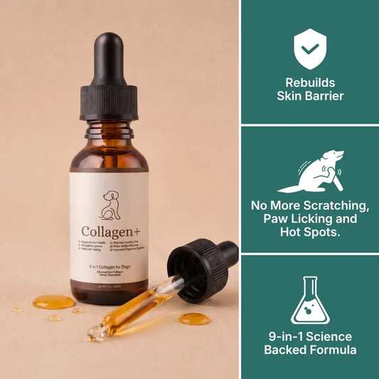 VivaPaws - 9-in-1 Collagen