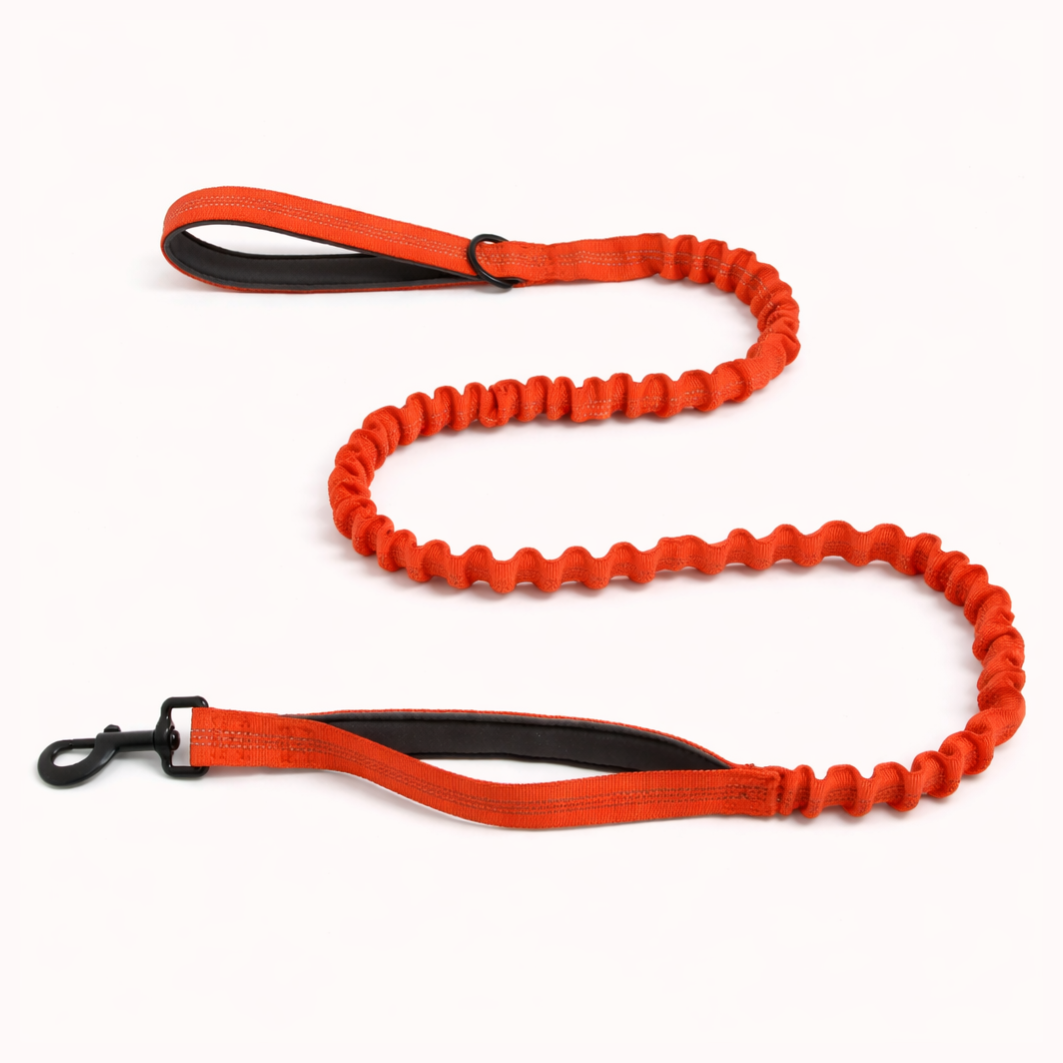 Premium Bungee Leash