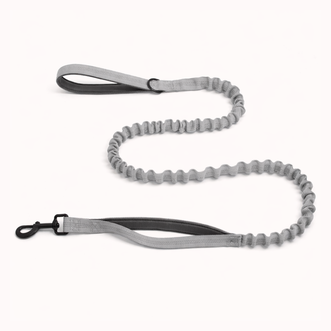 Premium Bungee Leash