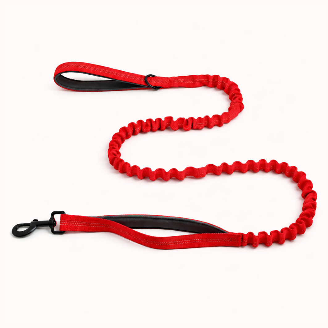 Premium Bungee Leash