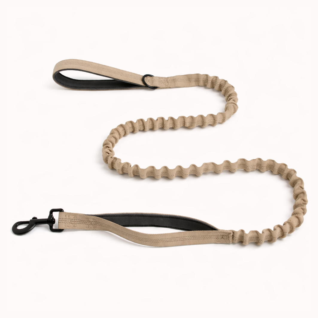 Premium Bungee Leash