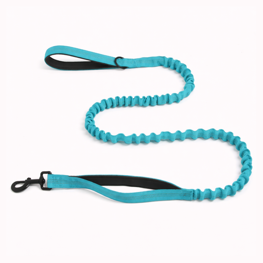 Premium Bungee Leash