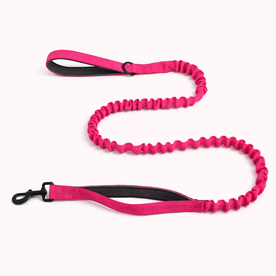Premium Bungee Leash