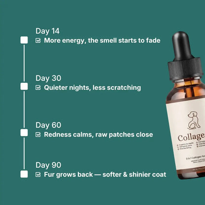 VivaPaws - 9-in-1 Collagen