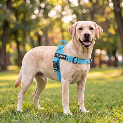 VivaPaws No-Pull Harness