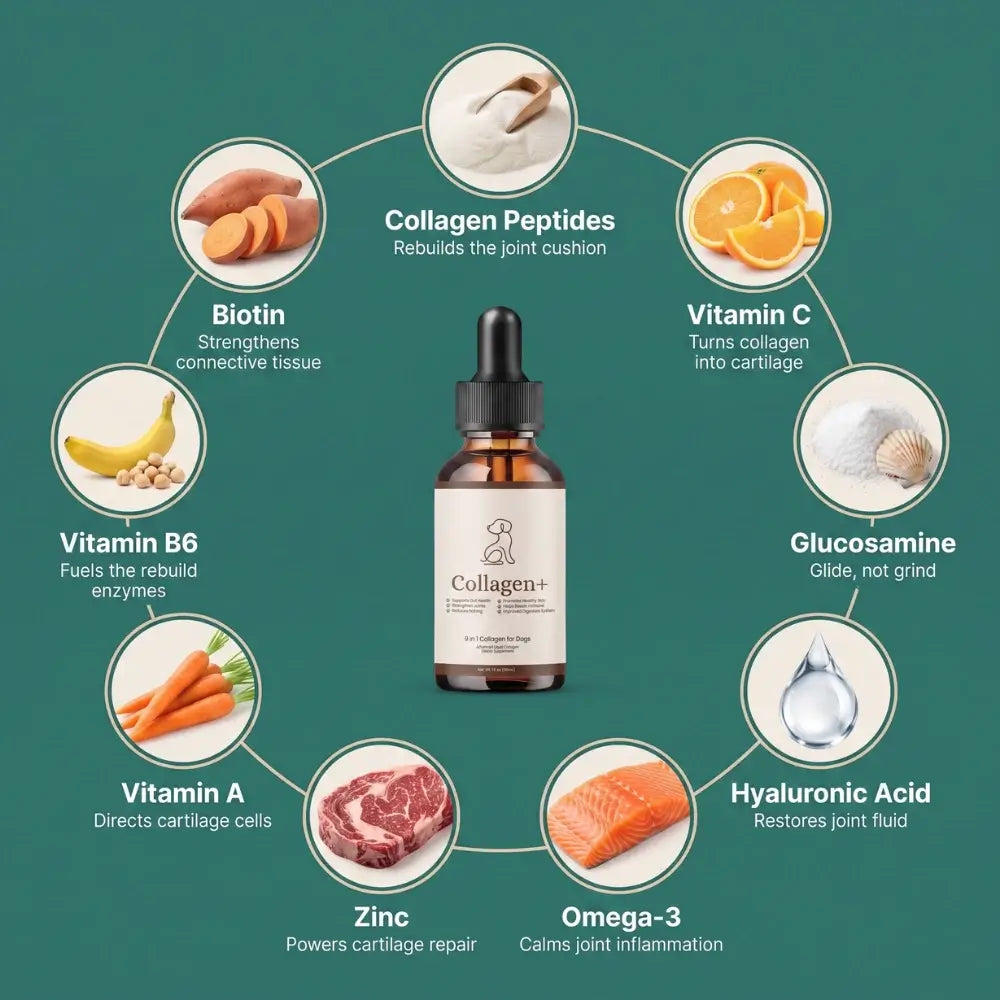 VivaPaws - Hip & Joint Liquid Collagen