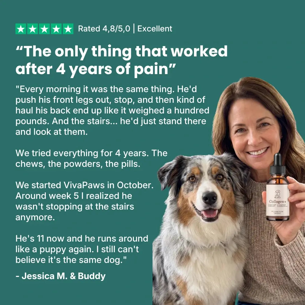 VivaPaws - Hip & Joint Liquid Collagen