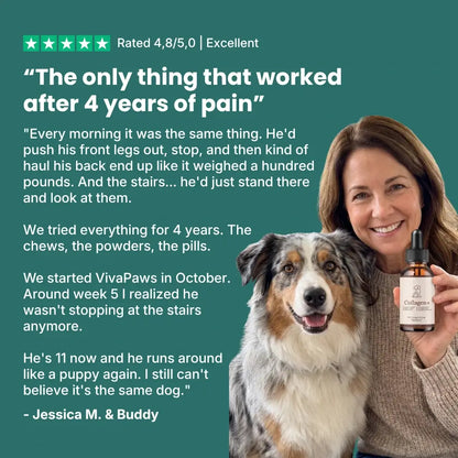 VivaPaws - Hip & Joint Liquid Collagen