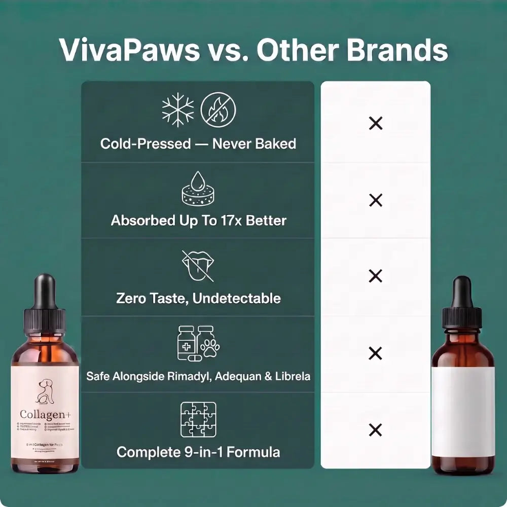 VivaPaws - Hip & Joint Liquid Collagen