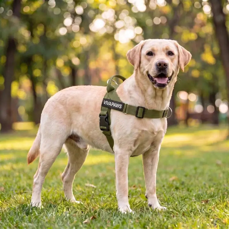 VivaPaws No-Pull Harness