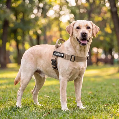 VivaPaws No-Pull Harness