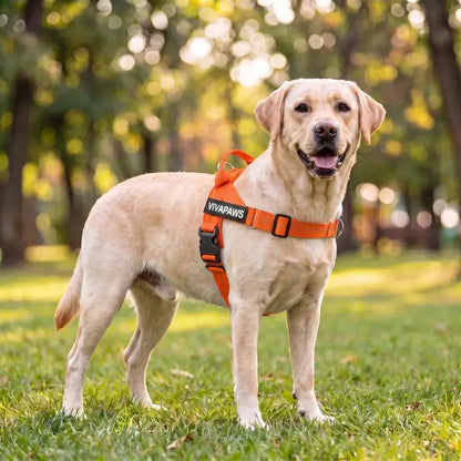 VivaPaws No-Pull Harness