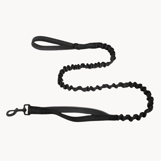 Premium Bungee Leash