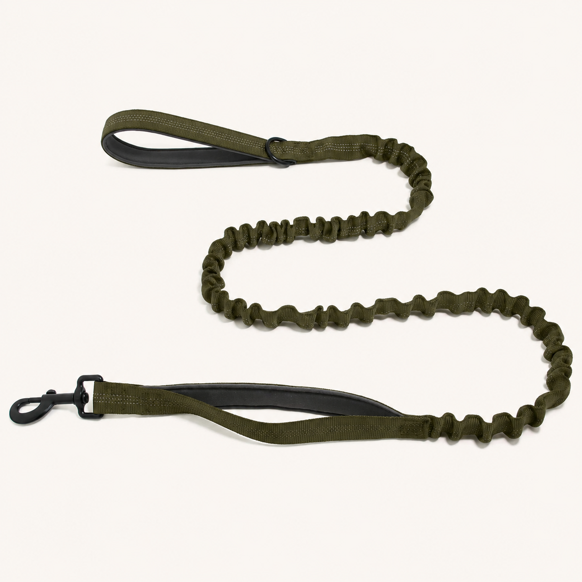 Premium Bungee Leash