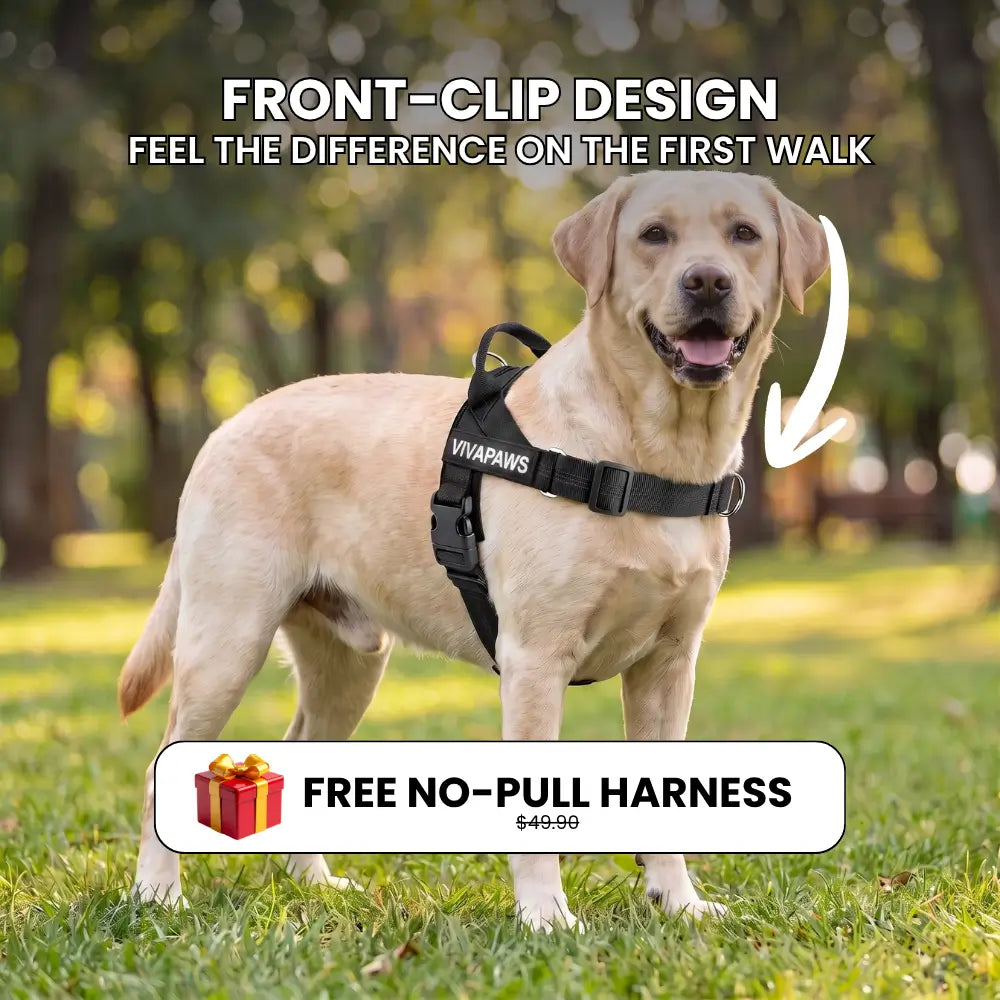 TODAY ONLY: Claim Your FREE VivaPaws No-Pull Harness