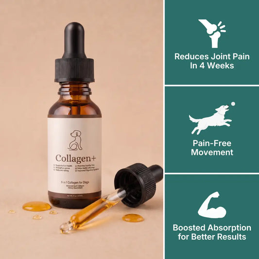 VivaPaws - Hip & Joint Liquid Collagen