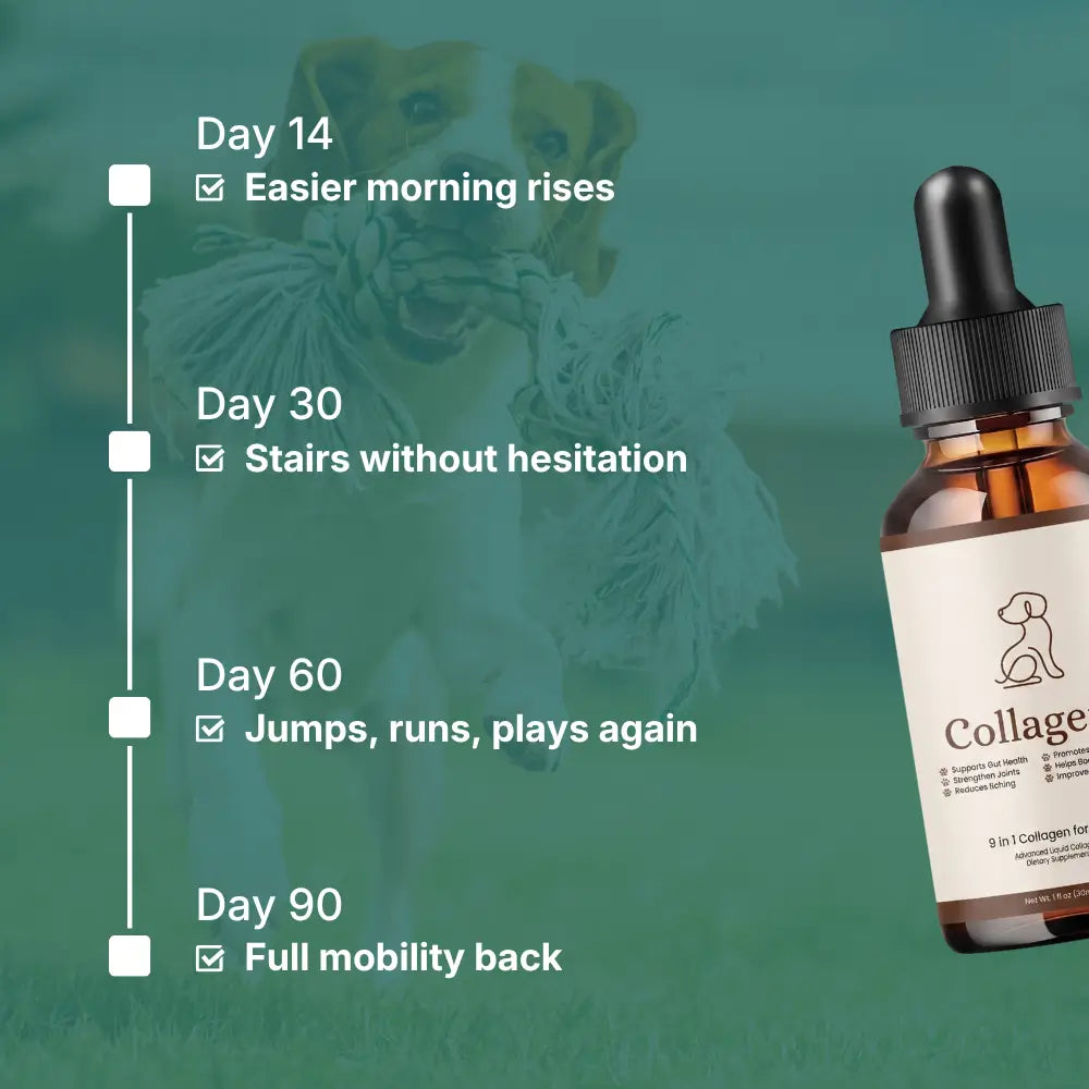 VivaPaws - Hip & Joint Liquid Collagen