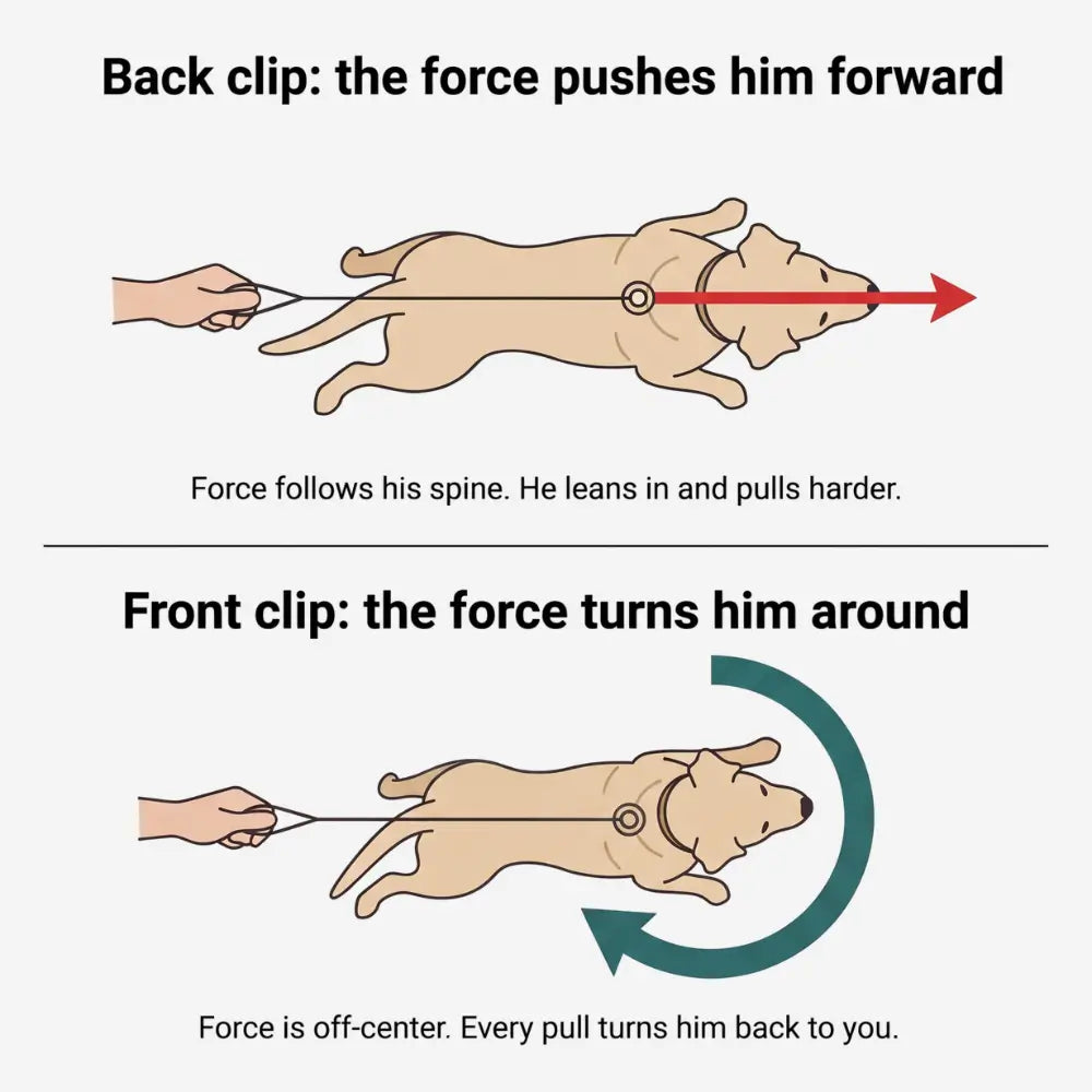VivaPaws No-Pull Harness