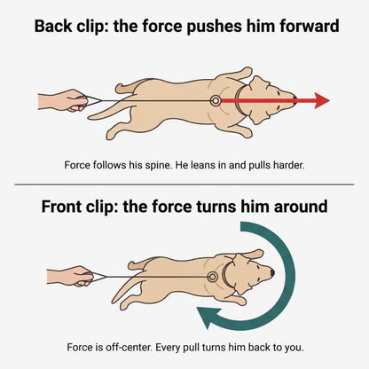 VivaPaws No-Pull Harness
