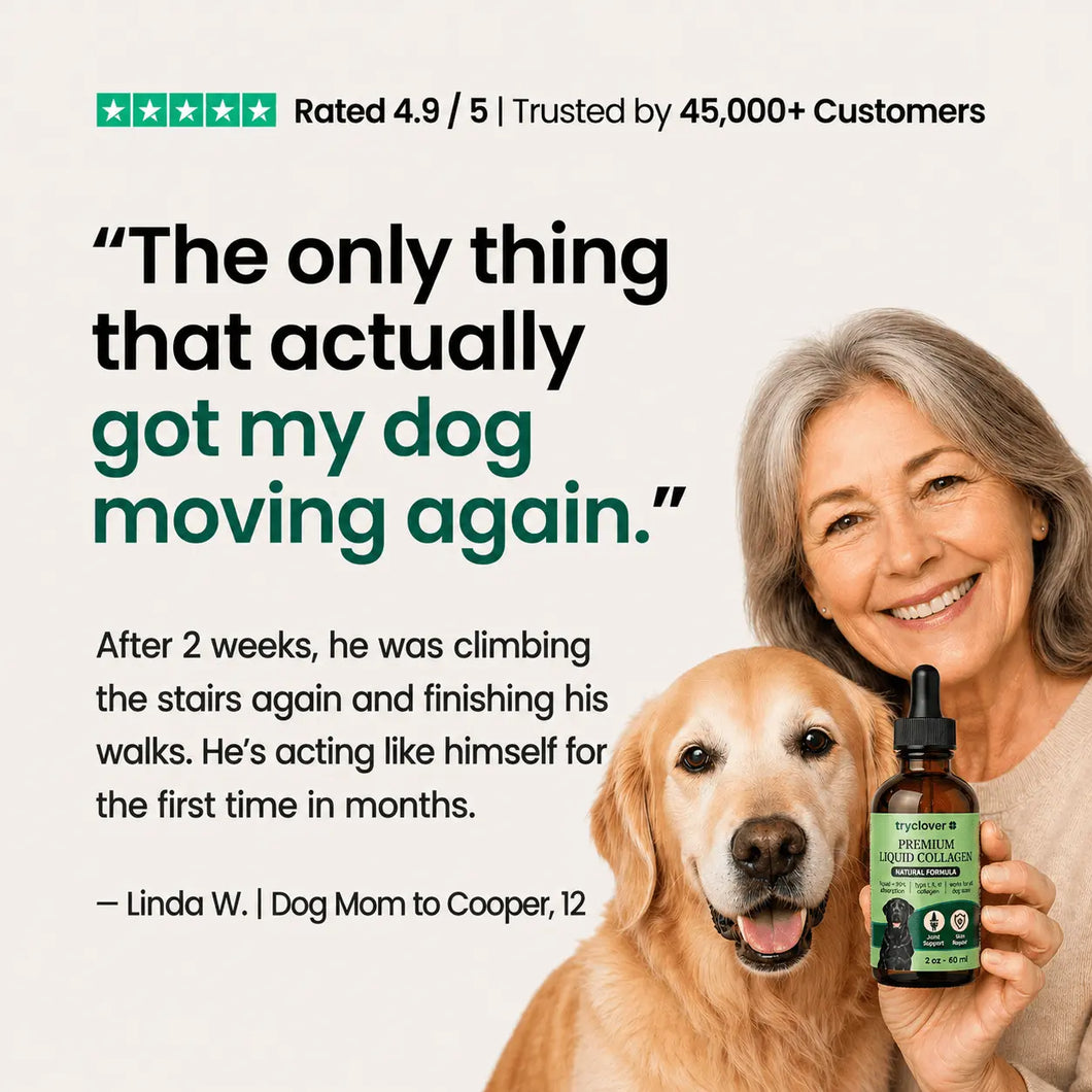 VivaPaws - 9-in-1 Collagen