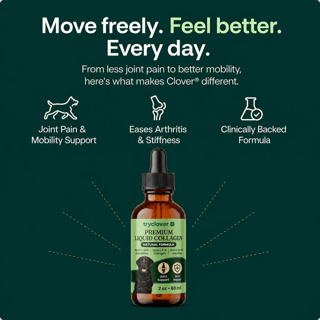 VivaPaws - 9-in-1 Collagen