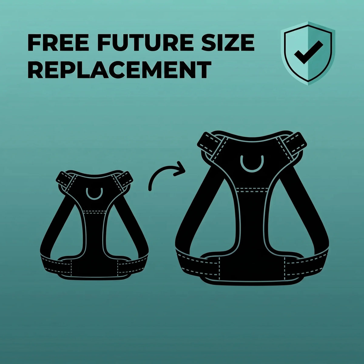 Free Future Size Replacement