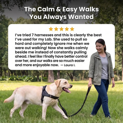 VivaPaws No-Pull Harness