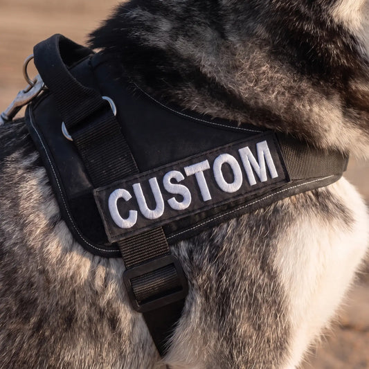 Add Your Dog's Name